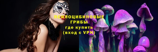 ГАЛЛЮЦИНОГЕННЫЕ ГРИБЫ Бугульма