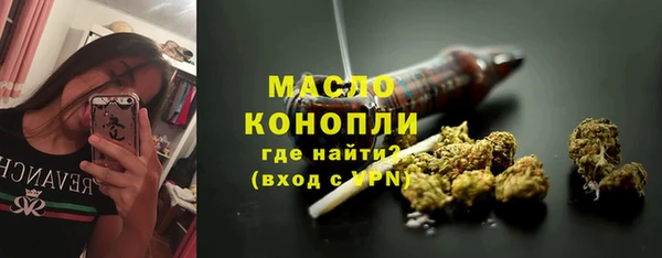 spice Богородицк