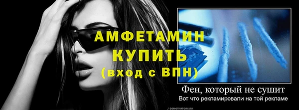 индика Богданович